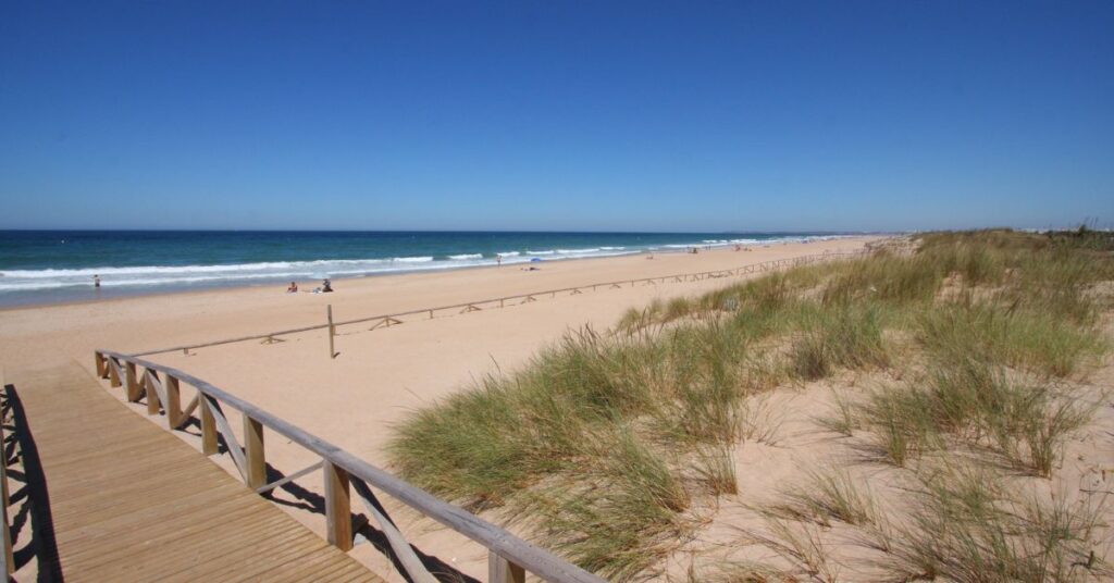 Playa el palmar